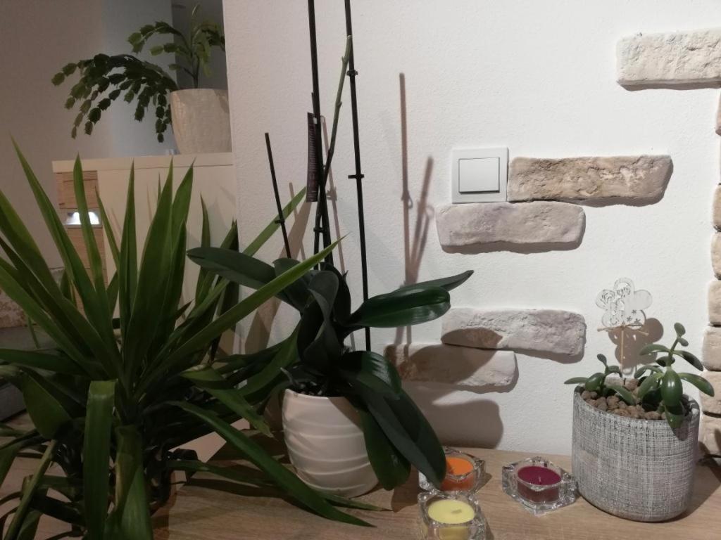 Galeria Stastie Apartment Сенец Екстериор снимка